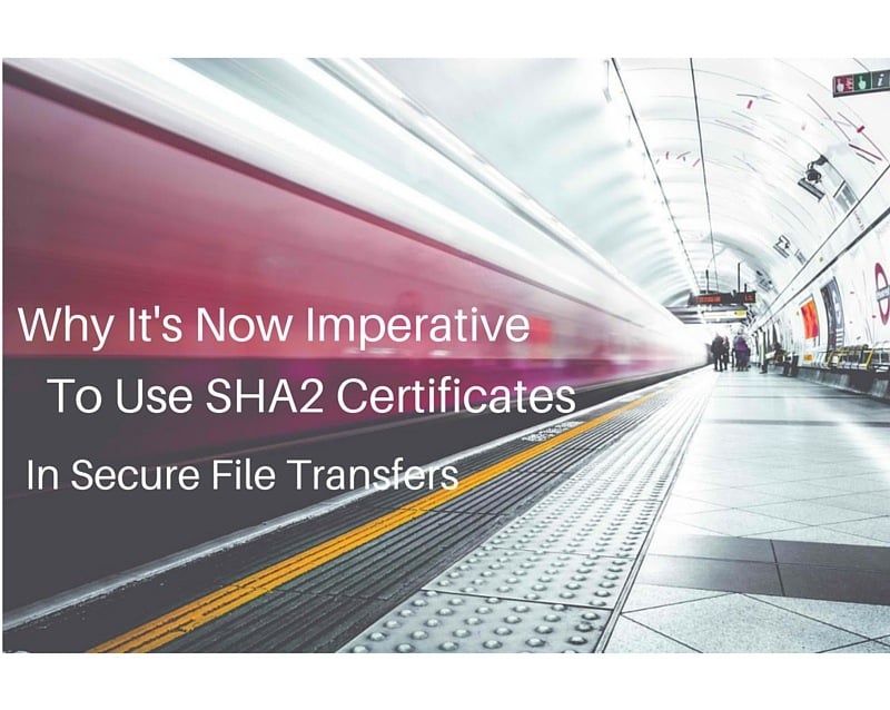 Why_Its_Time_To_Use_SHA2_Certificates_In_Secure_File_Transfers.jpg Why_Its_Time_To_Use_SHA2_Certificates_In_Secure_File_Transfers.jpg