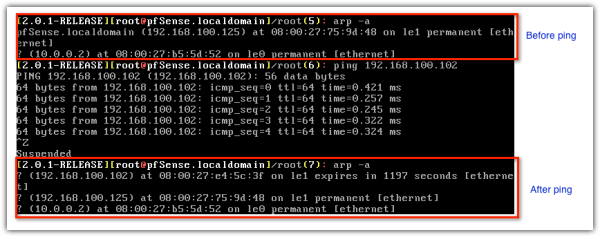 arp a after ping resized 600