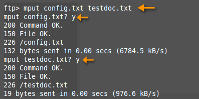 ftp uploading multiple files
