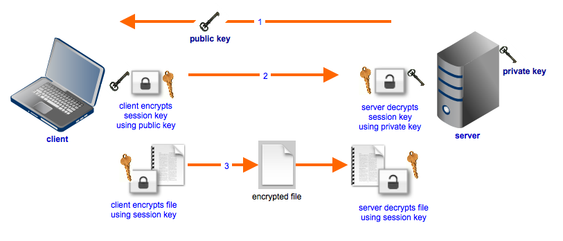 secure file transfers hybrid cryptosystem